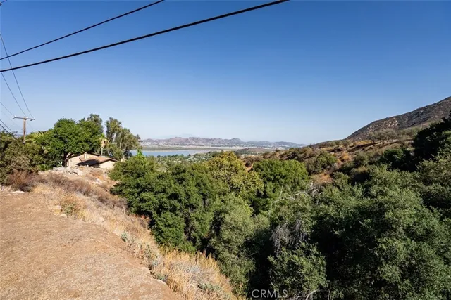 a view of a yard with a tree