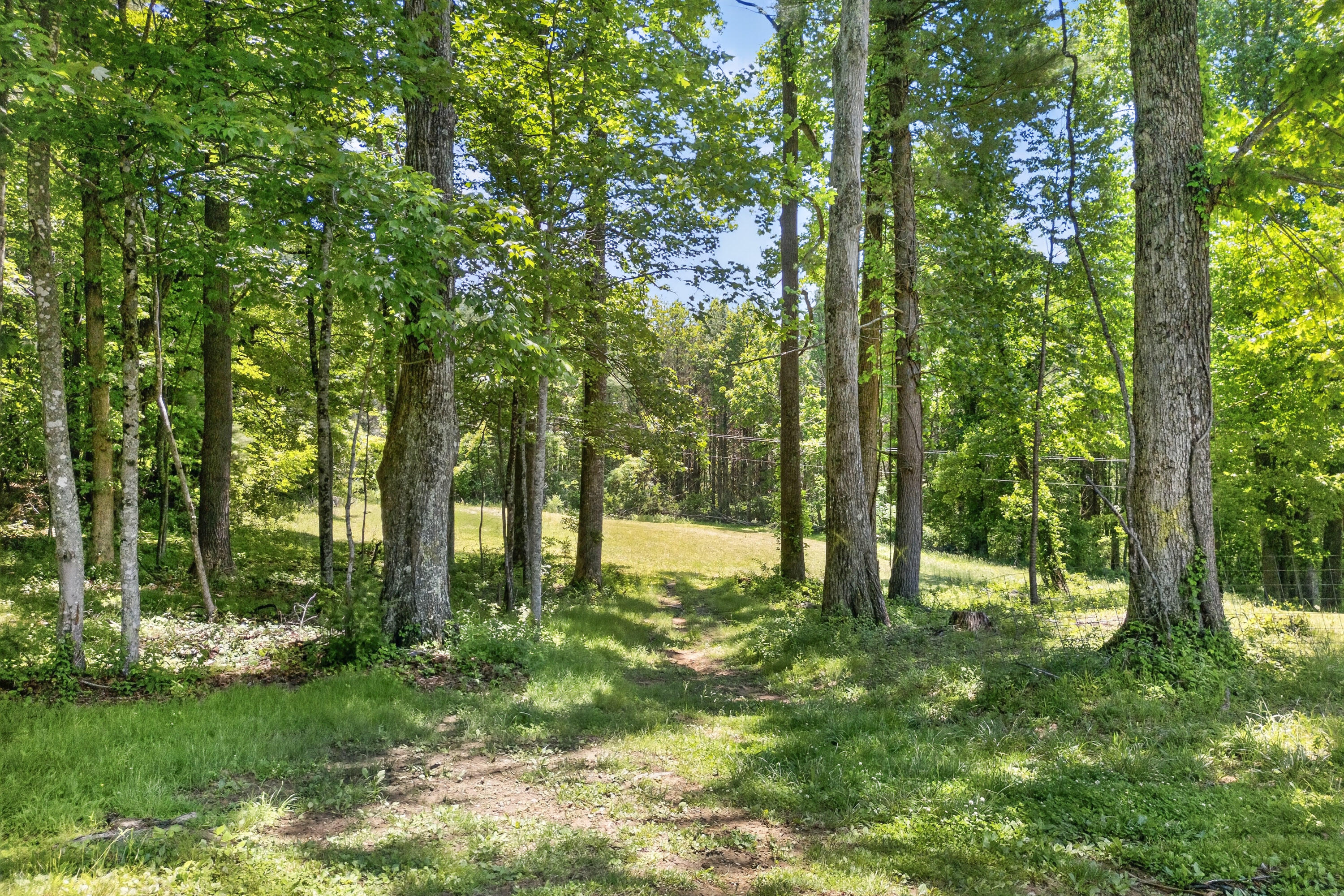 644 Daniels Run Road Northeast Copper Hill, VA 24079 - Photo 60 of 75 Copper Hill-74