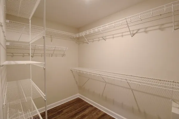 a bathroom with a shower and a window
