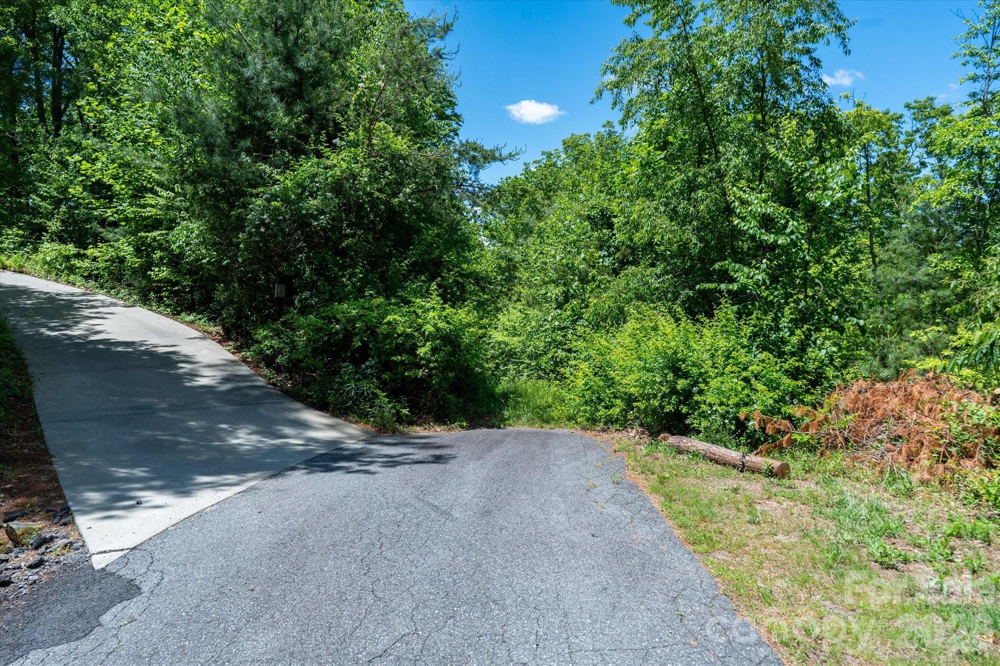 99999 Winding Ridge Road Fairview, NC 28730 - Photo 9 of 15