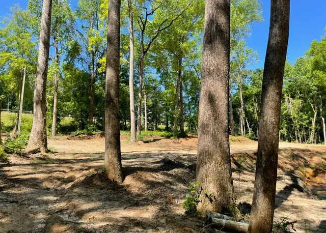 $79,900 | 3360 Fla-ga Highway, Havana, FL 32333