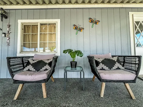 a view of a room that has a couch and a potted plant