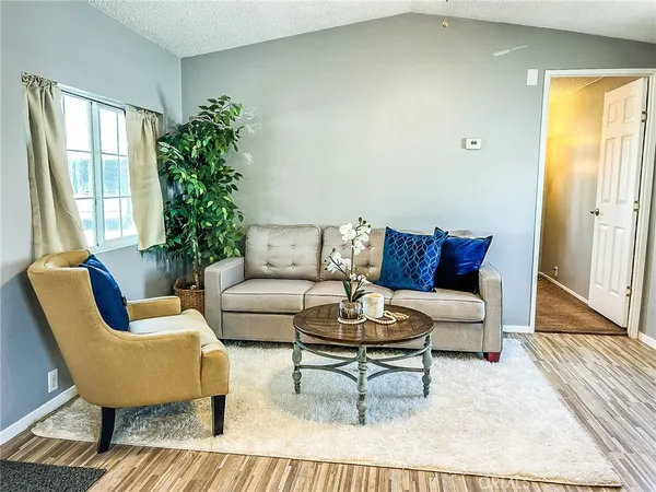 a living room with furniture and a potted plant