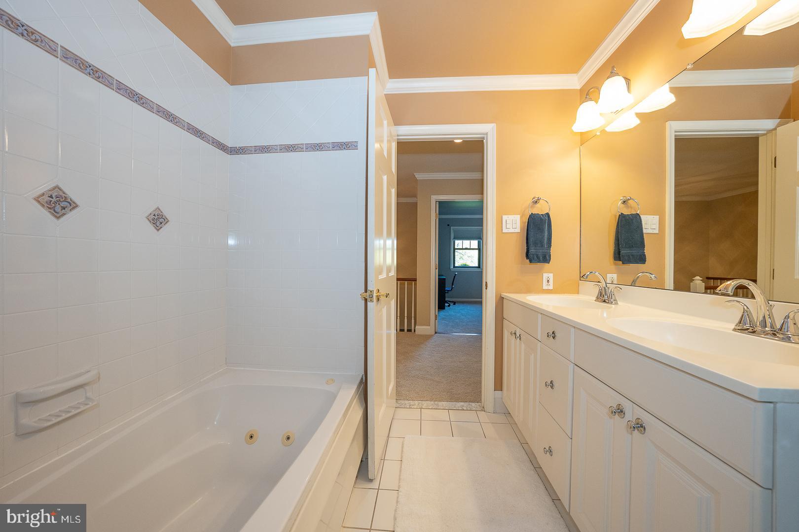 800 Maple Glen Lane Wayne, PA 19087 - Photo 36 of 52 a spacious bathroom with a bathtub and a sink
