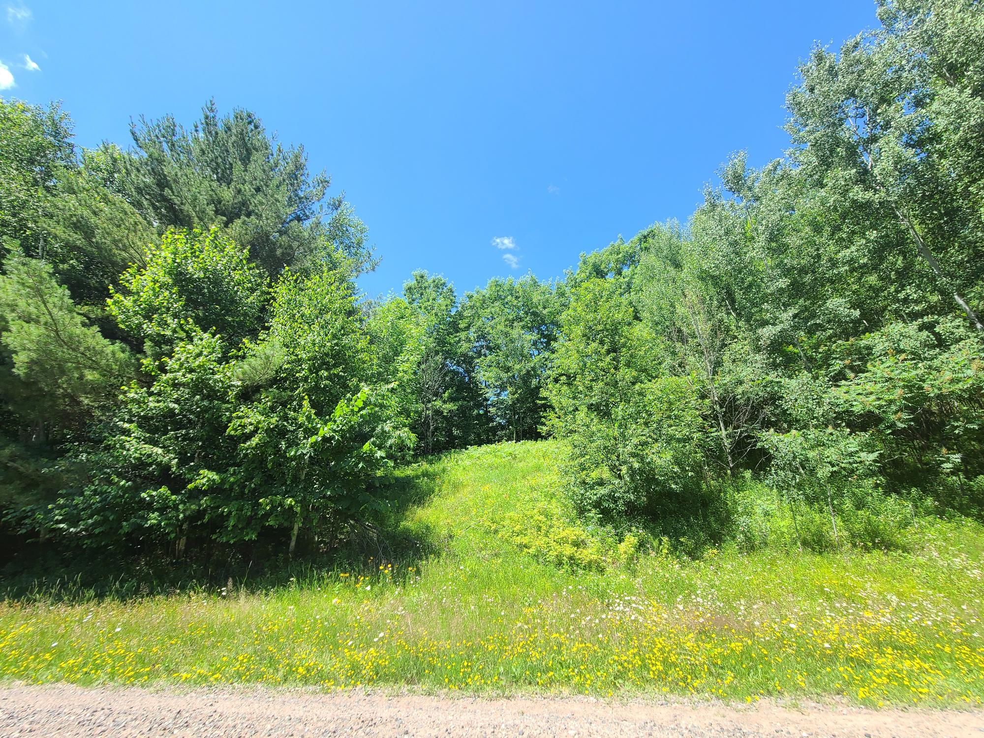 On Simon Road, Unit 78ACRES Fifield, WI 54524 - Photo 7 of 12 Gallery Image 7