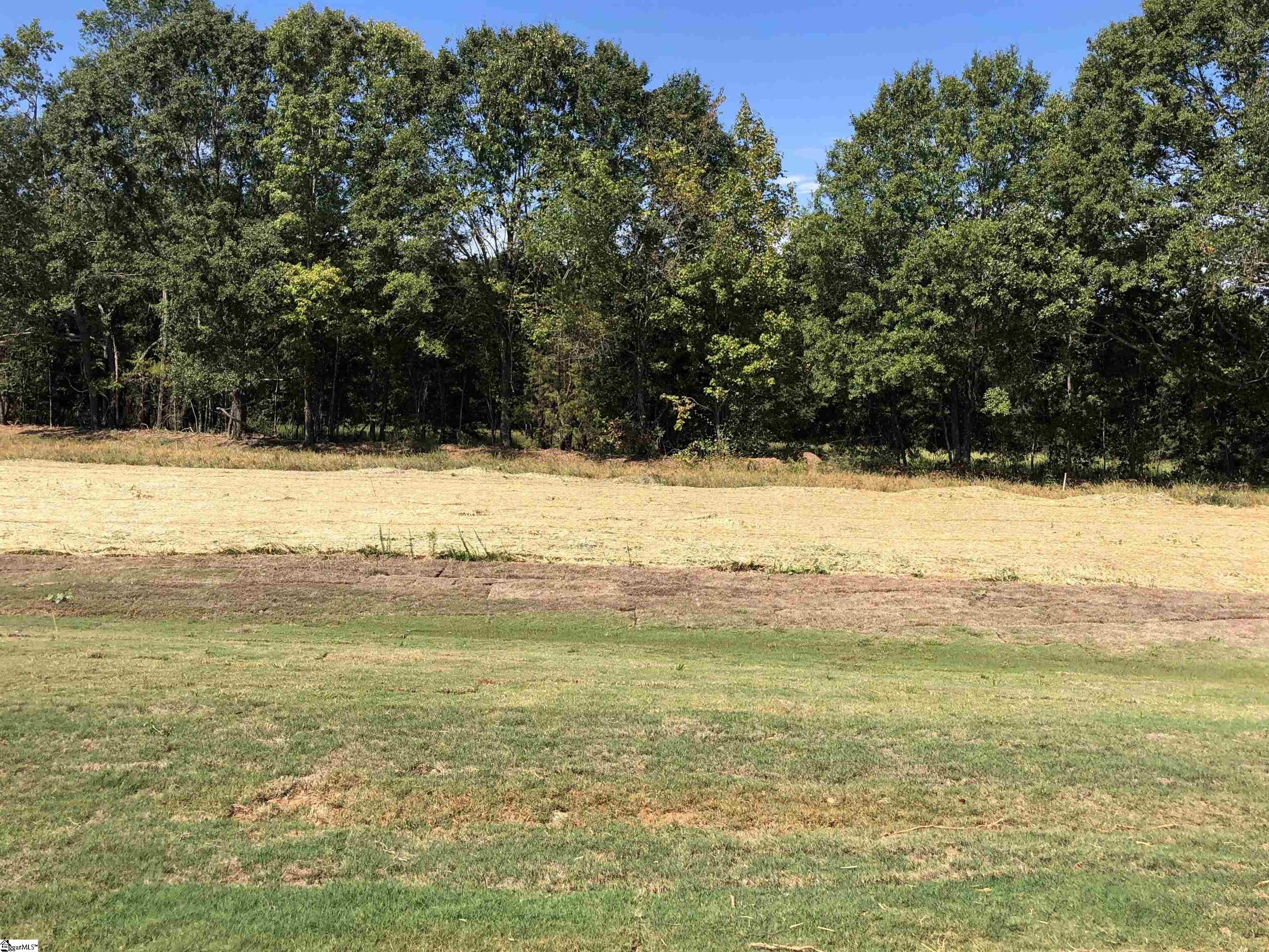184 Emory Road Cowpens, SC 29330 - Photo 3 of 31