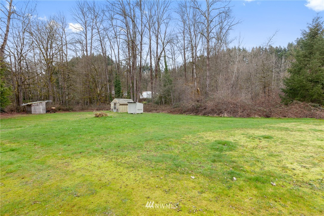 15408 Southeast Jones Road Renton, WA 98058 - Photo 33 of 40 a view of a park with large trees