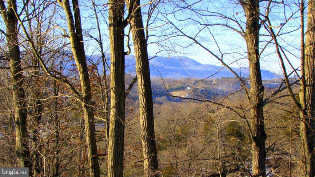 305 Copper Mine Road Front Royal, VA 22630 - Photo 29 of 30 View