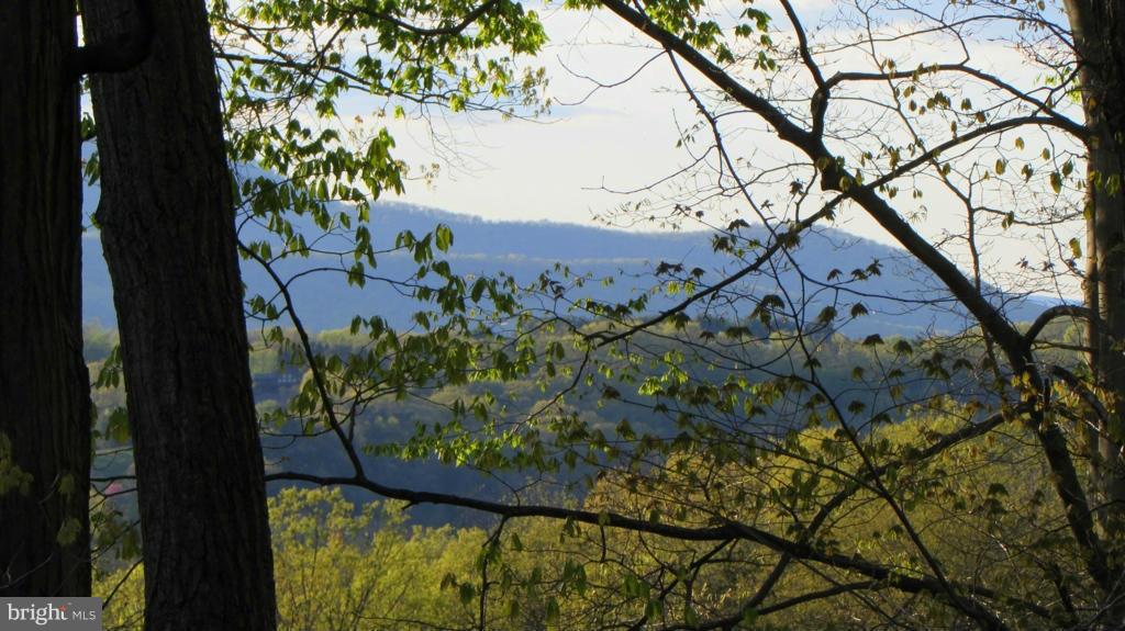 305 Copper Mine Road Front Royal, VA 22630 - Photo 4 of 30 View