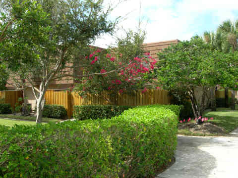 3236 32nd Court Jupiter, FL 33477 - Photo 13 of 28 DSCN1655
