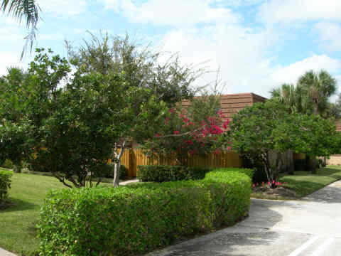 3236 32nd Court Jupiter, FL 33477 - Photo 10 of 28 DSCN1654