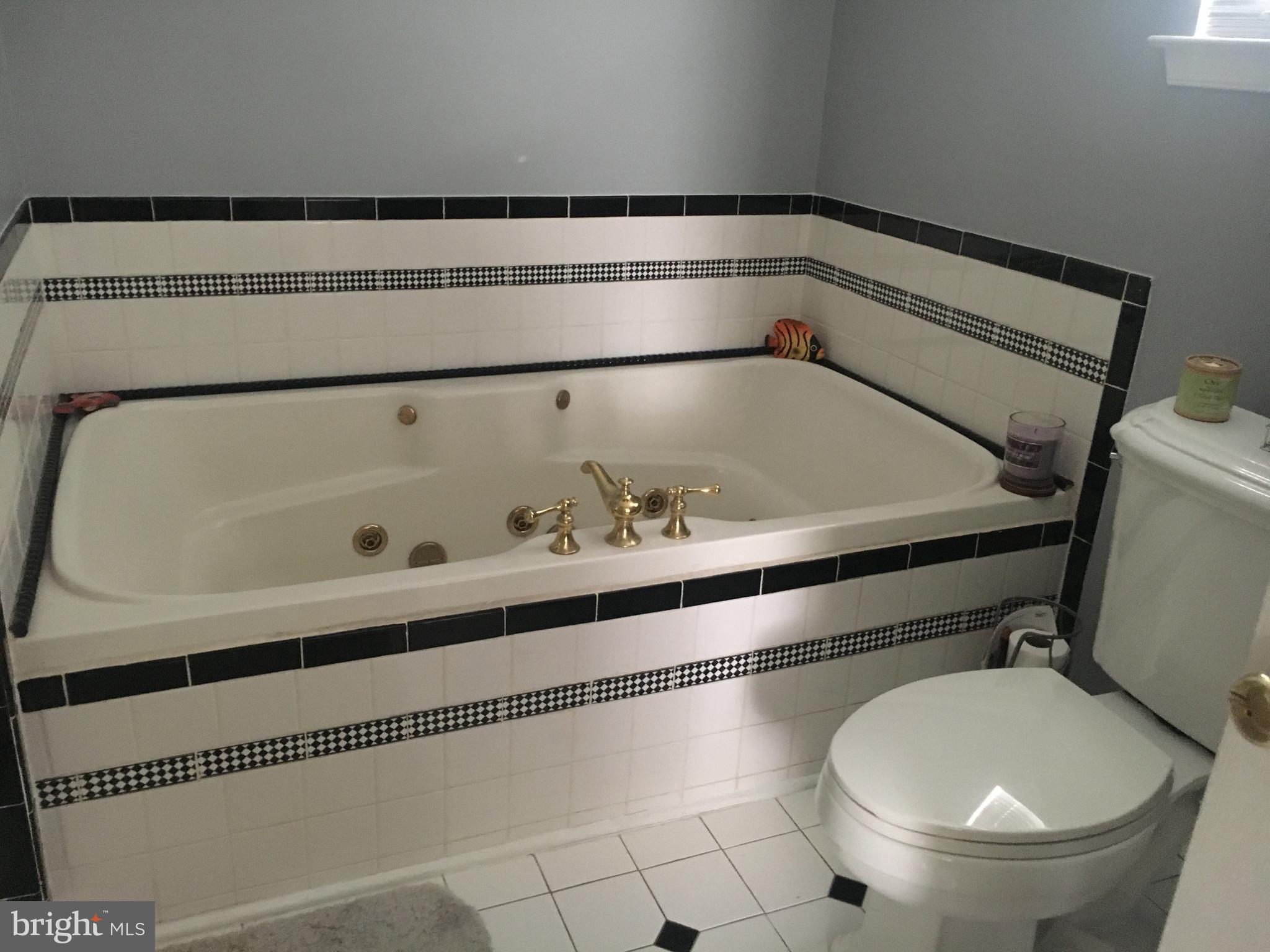 2607 Bachman Road Westminster, MD 21157 - Photo 26 of 30 Bath (Master)