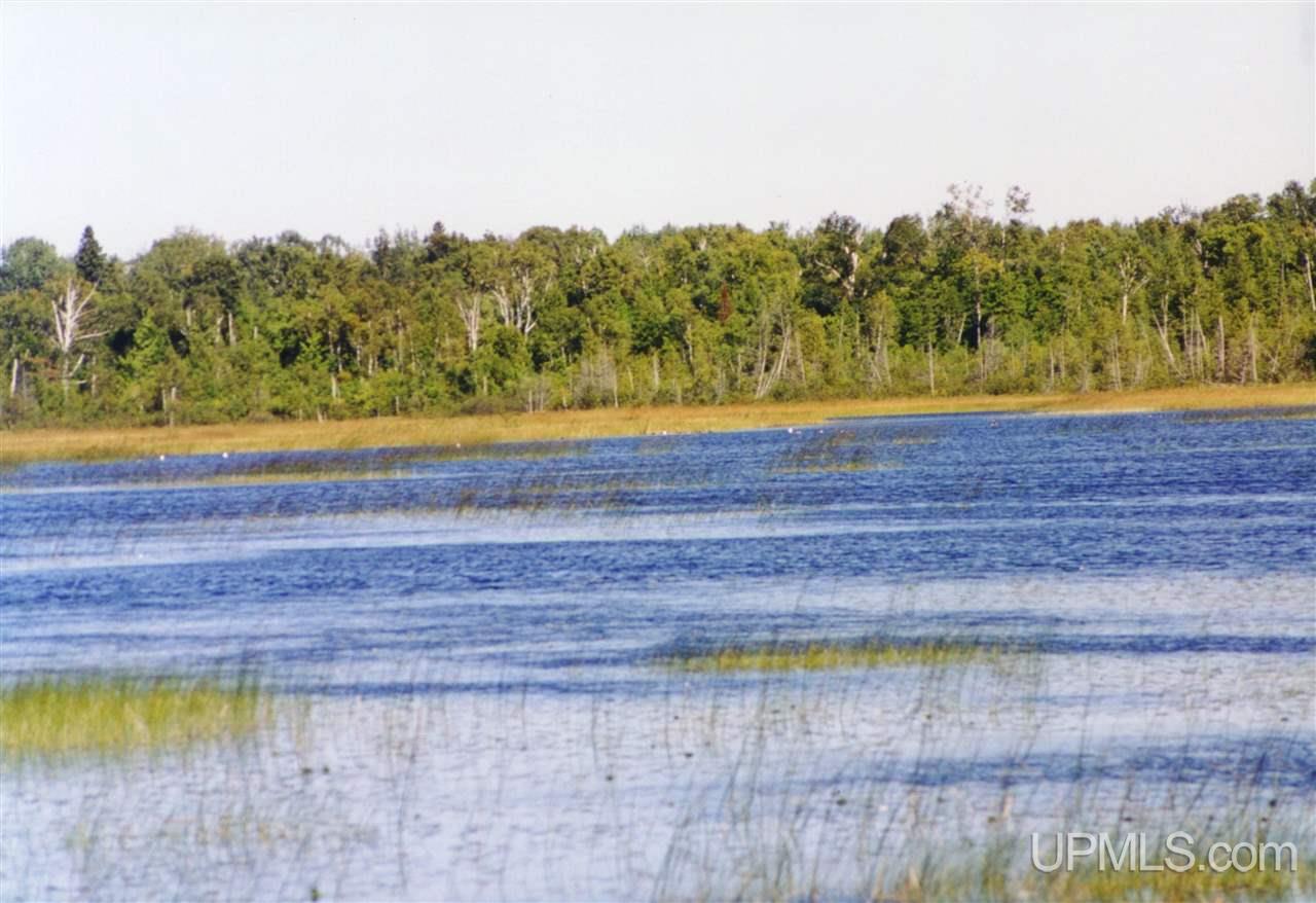 Tbd 240 Acres Off Belgium Road Manistique, MI 49854 - Photo 14 of 35