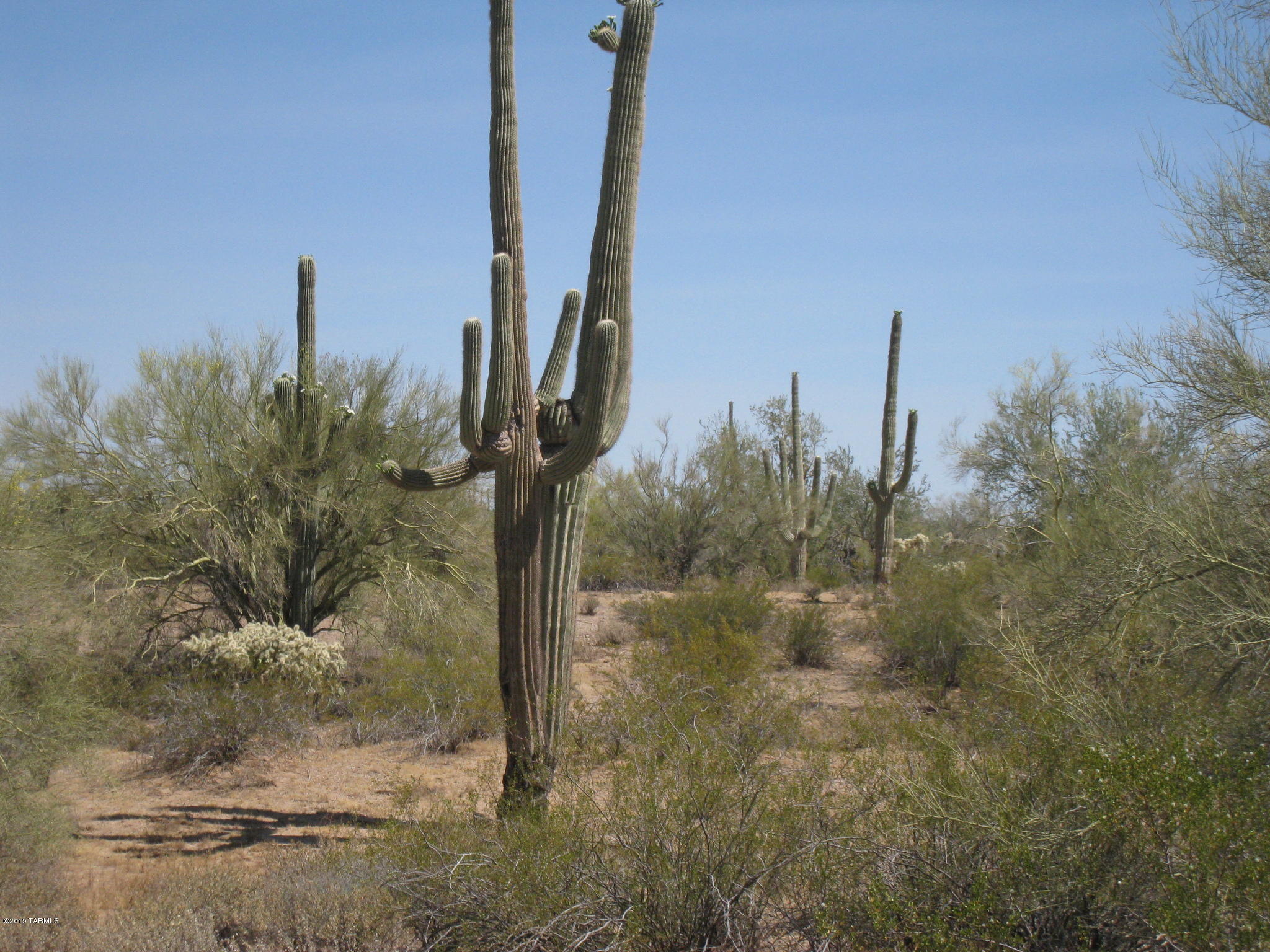 0 South Cattle Tank Road Marana, AZ 85658 - Photo 2 of 4