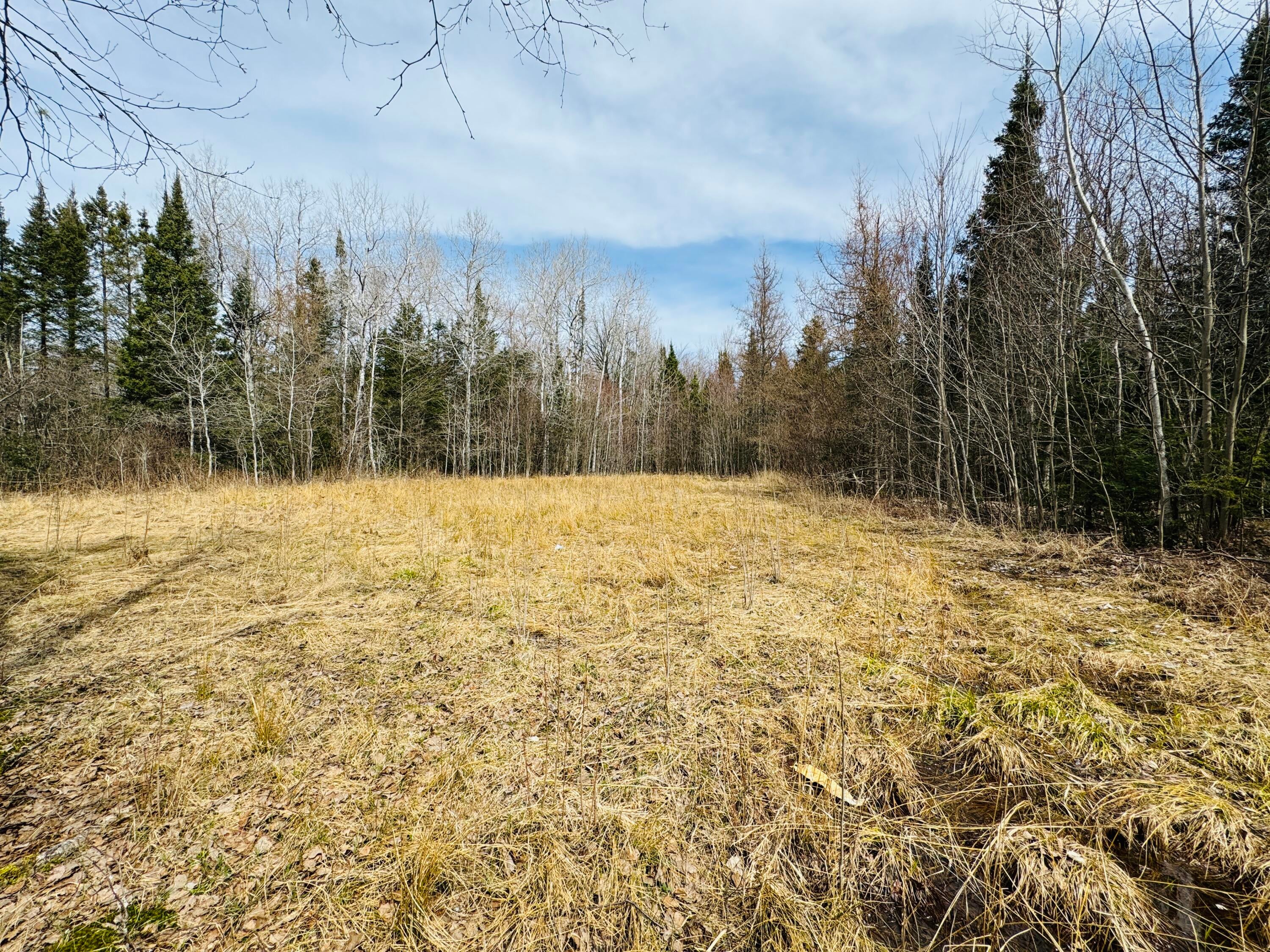 0 South Ojala Road Brimley, MI 49715 - Photo 26 of 48 Gallery Image 26