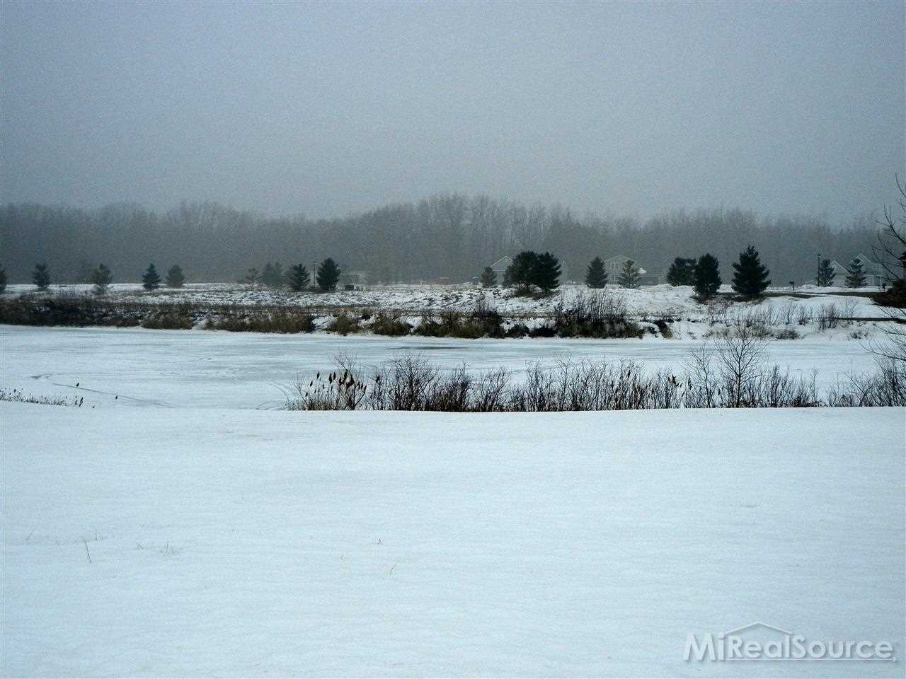 63 Clearwater Street Perry, MI 48872 - Photo 4 of 8