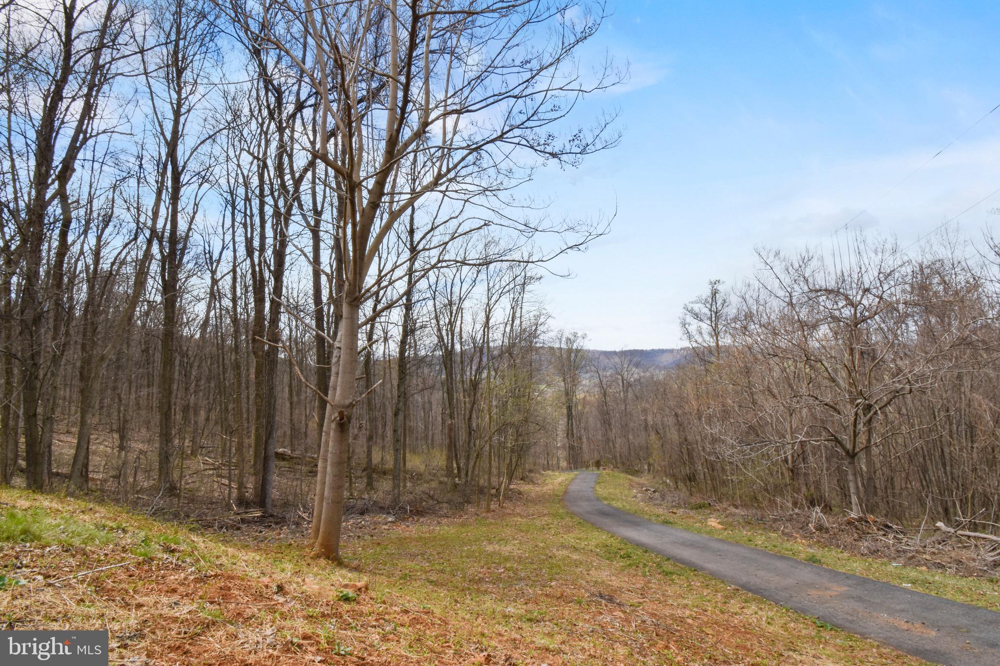 503 Joy Springs Road Front Royal, VA 22630 - Photo 3 of 41