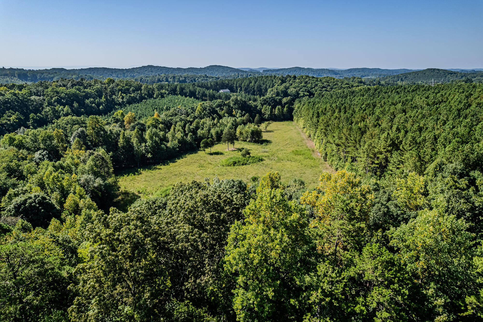 189 County Road 182 Decatur, TN 37322 - Photo 11 of 17 Cr 182-4