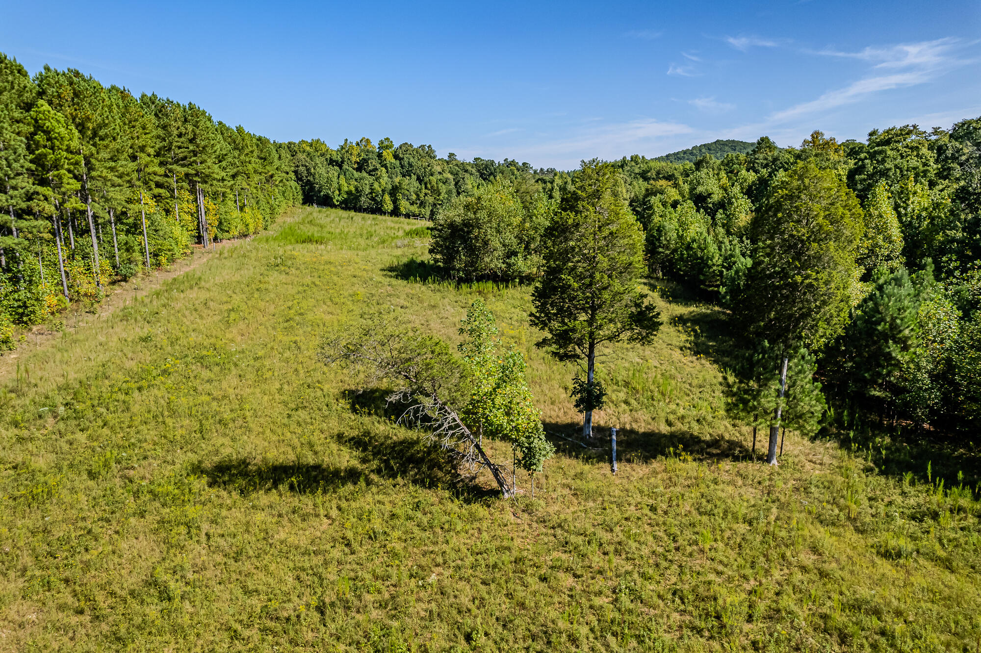 189 County Road 182 Decatur, TN 37322 - Photo 12 of 17 Cr 182-5
