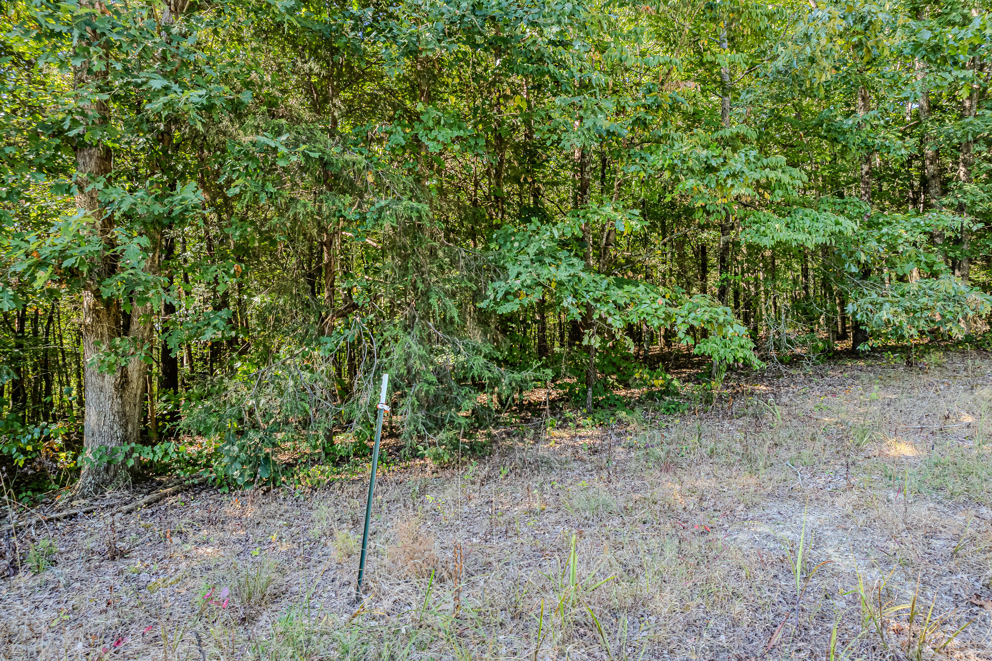 189 County Road 182 Decatur, TN 37322 - Photo 14 of 17 Cr 182-14