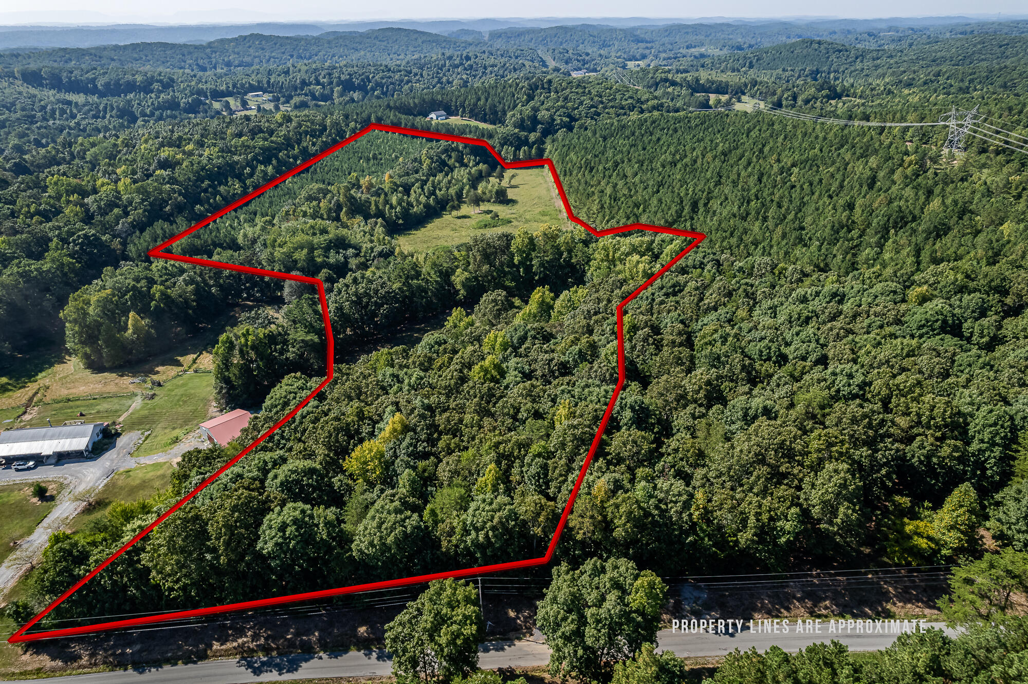 189 County Road 182 Decatur, TN 37322 - Photo 3 of 17 Cr 182-9