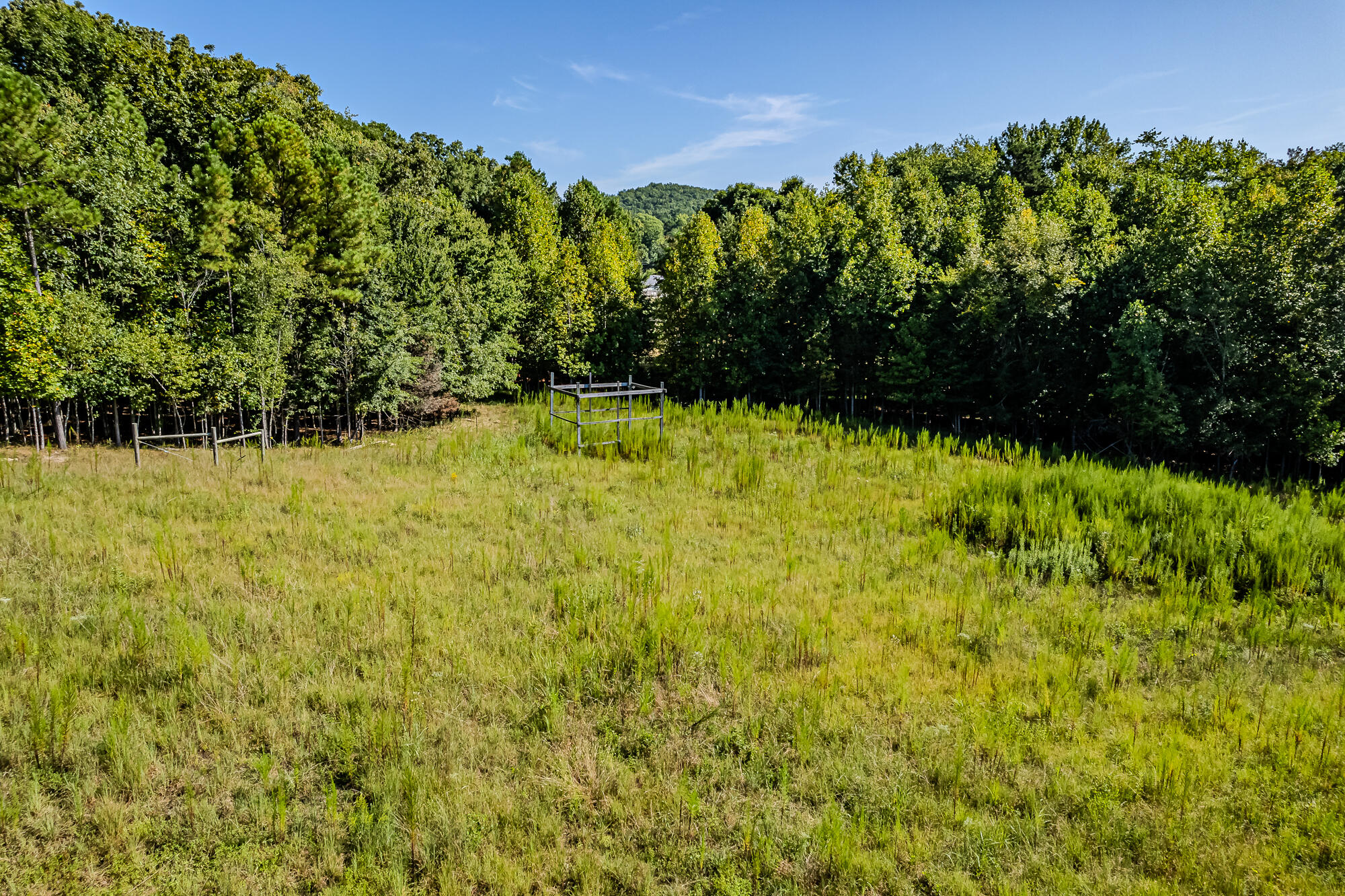 189 County Road 182 Decatur, TN 37322 - Photo 4 of 17 Cr 182-6