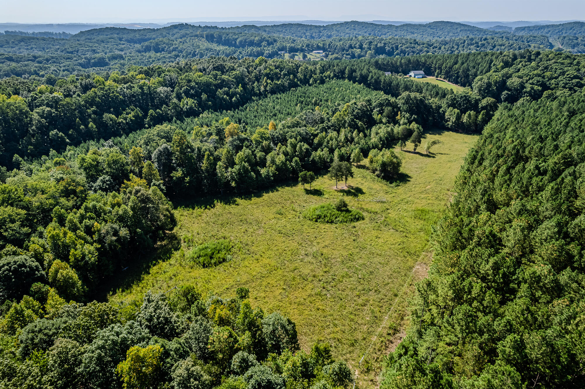 189 County Road 182 Decatur, TN 37322 - Photo 6 of 17 Cr 182-8