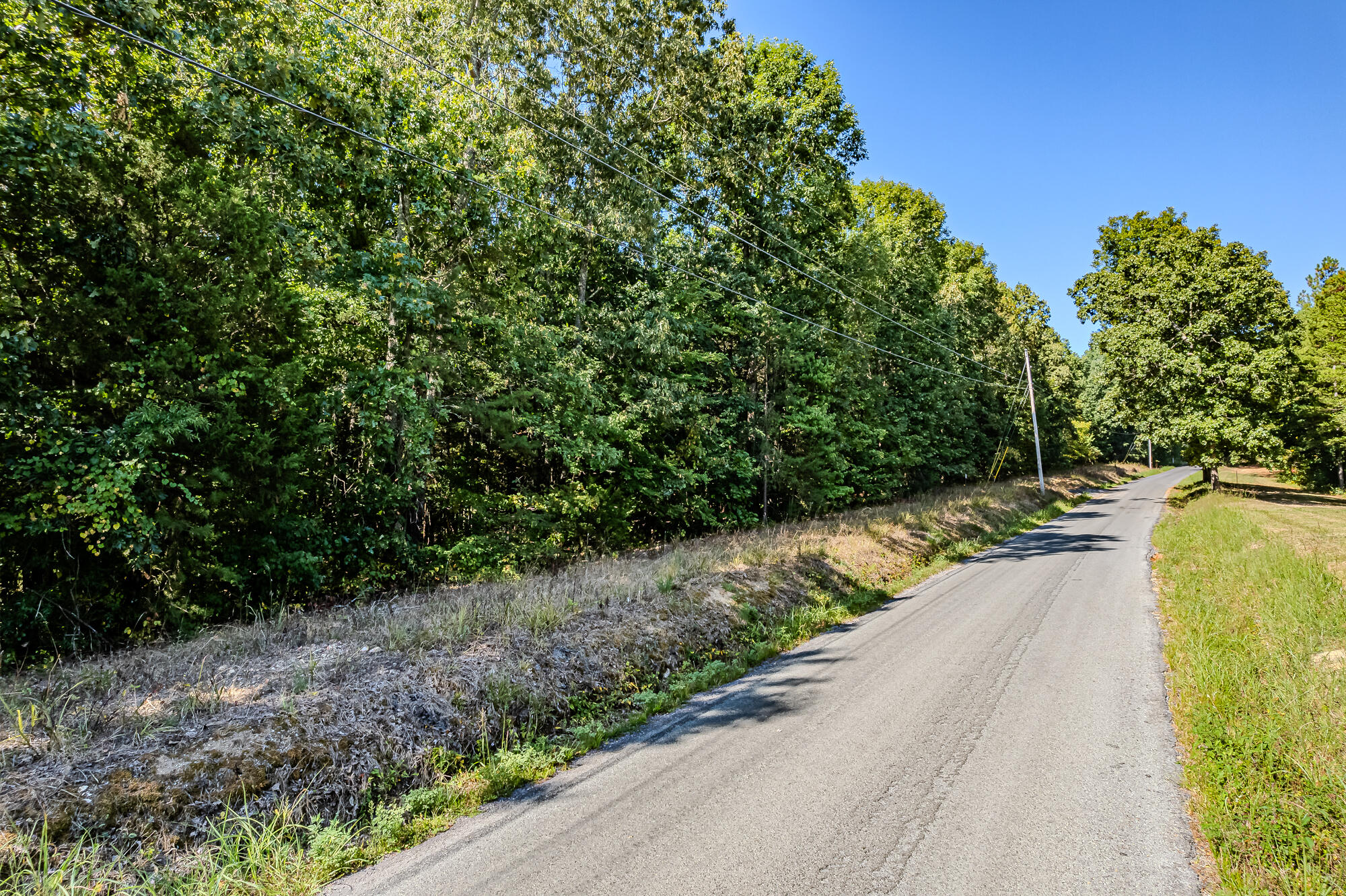 189 County Road 182 Decatur, TN 37322 - Photo 7 of 17 Cr 182-13