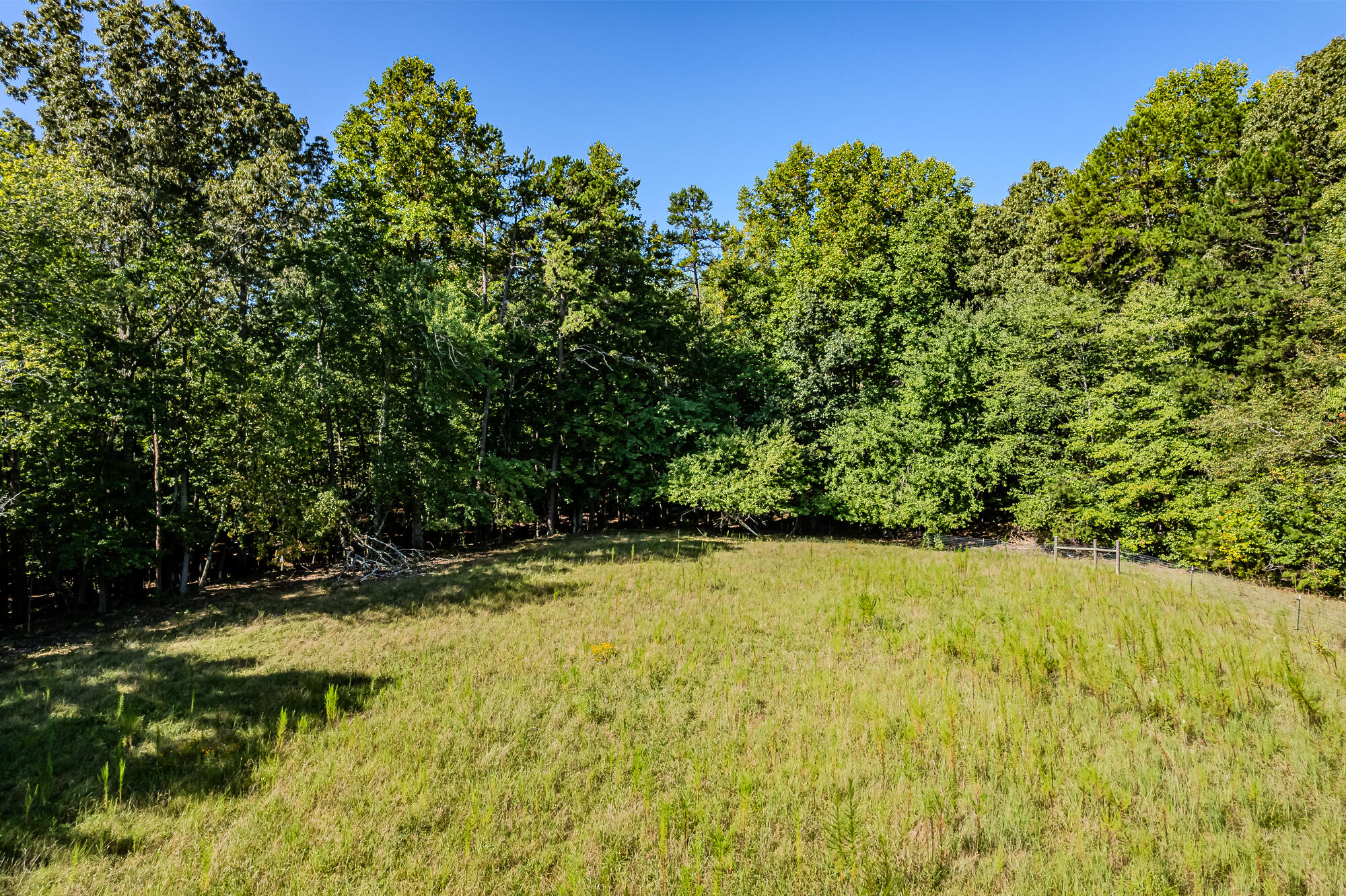 189 County Road 182 Decatur, TN 37322 - Photo 8 of 17 Cr 182-1