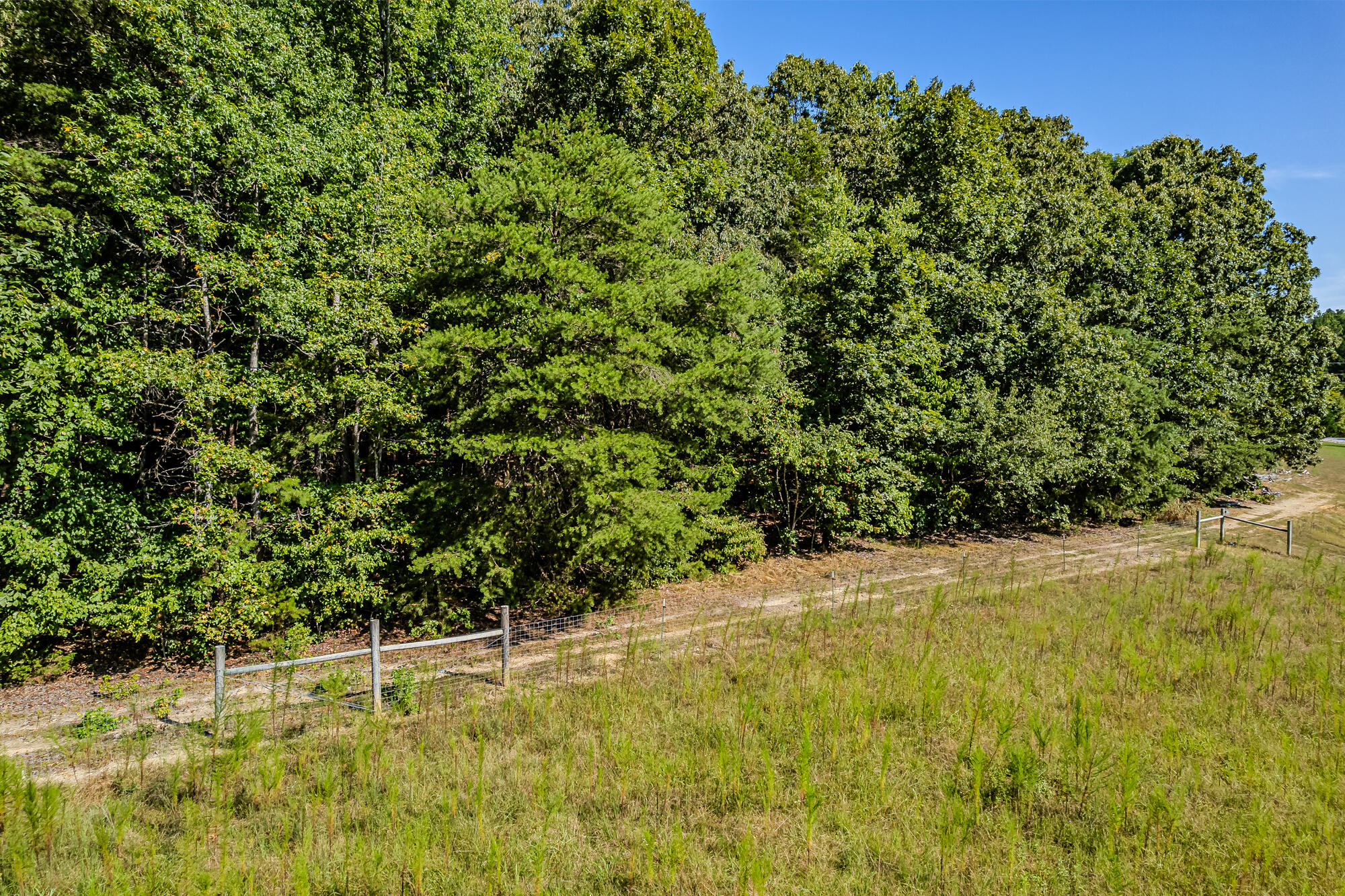 189 County Road 182 Decatur, TN 37322 - Photo 9 of 17 Cr 182-2