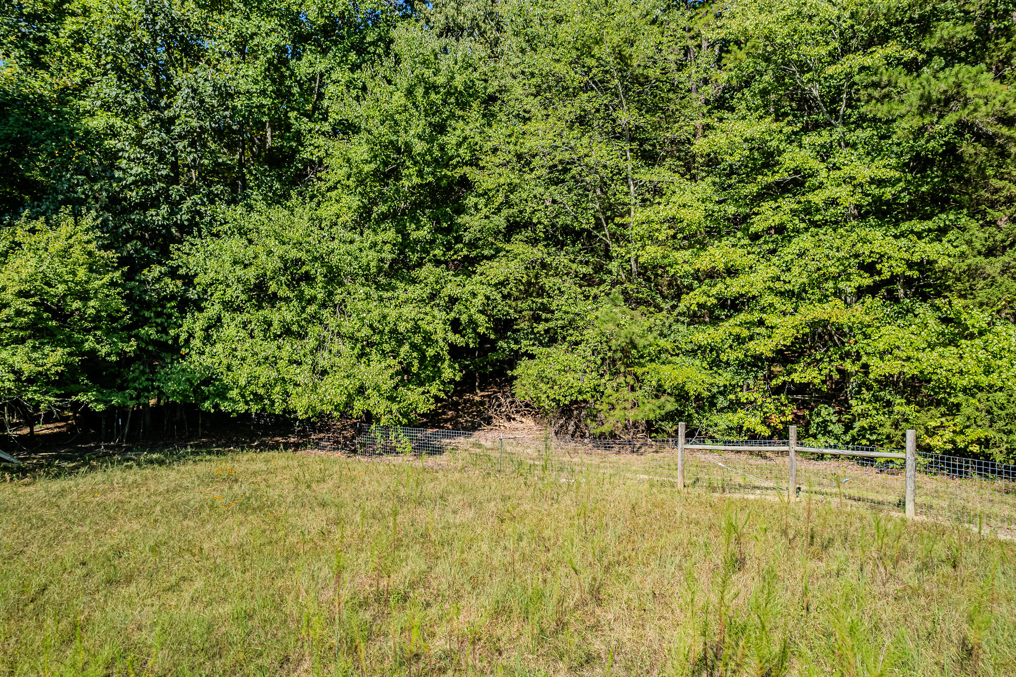 189 County Road 182 Decatur, TN 37322 - Photo 10 of 17 Cr 182-3