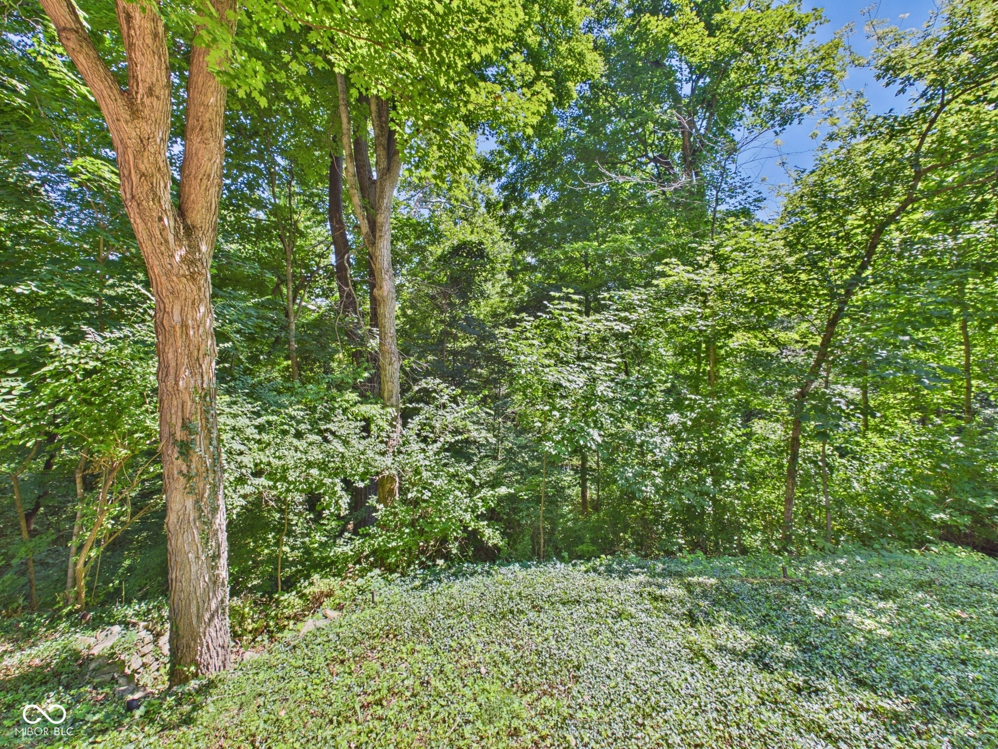 1607 Van Buskirk Road Anderson, IN 46011 - Photo 67 of 86