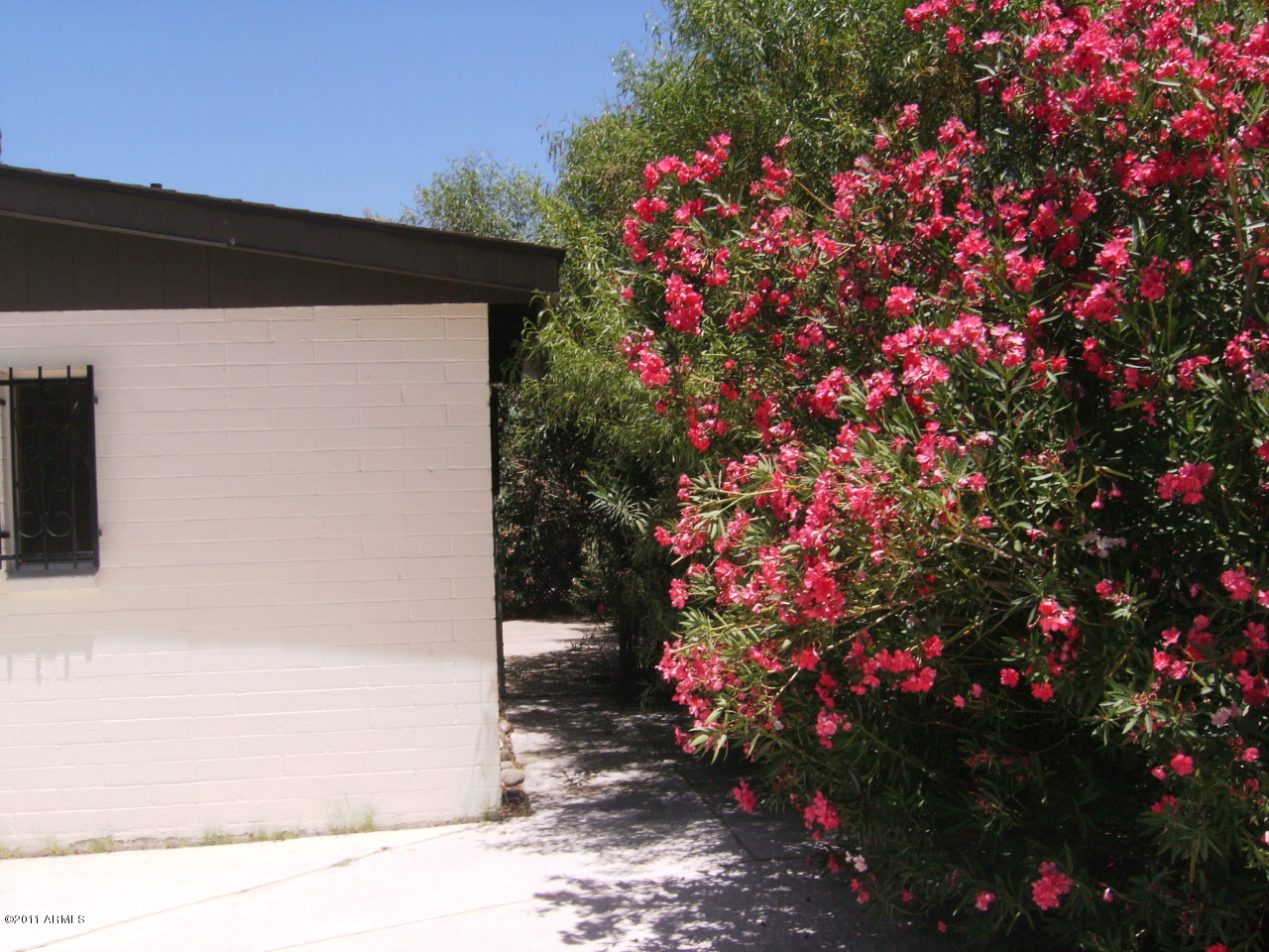 4015 West Redfield Road Phoenix, AZ 85053 - Photo 13 of 15 BACK