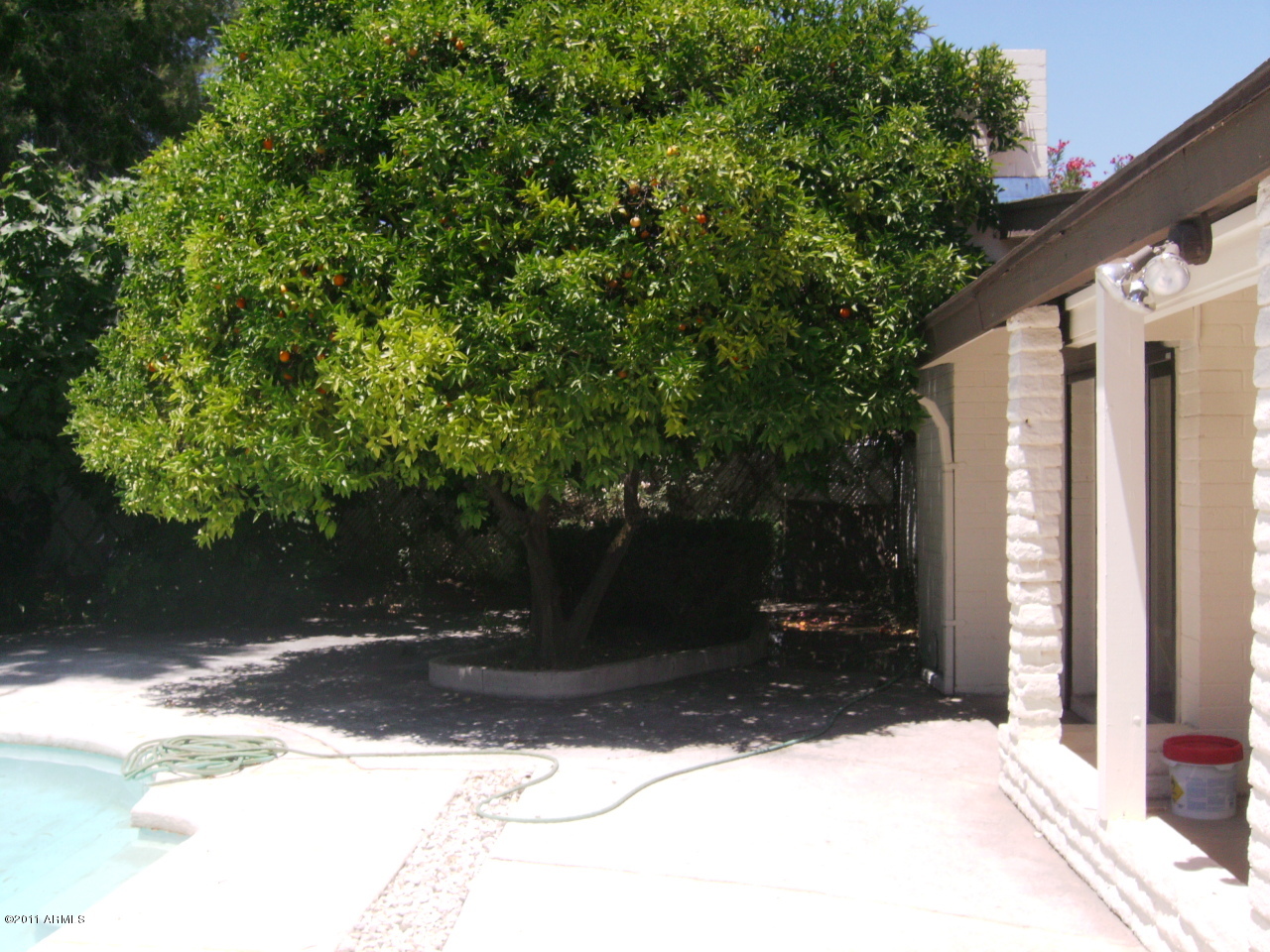 4015 West Redfield Road Phoenix, AZ 85053 - Photo 14 of 15 BACK