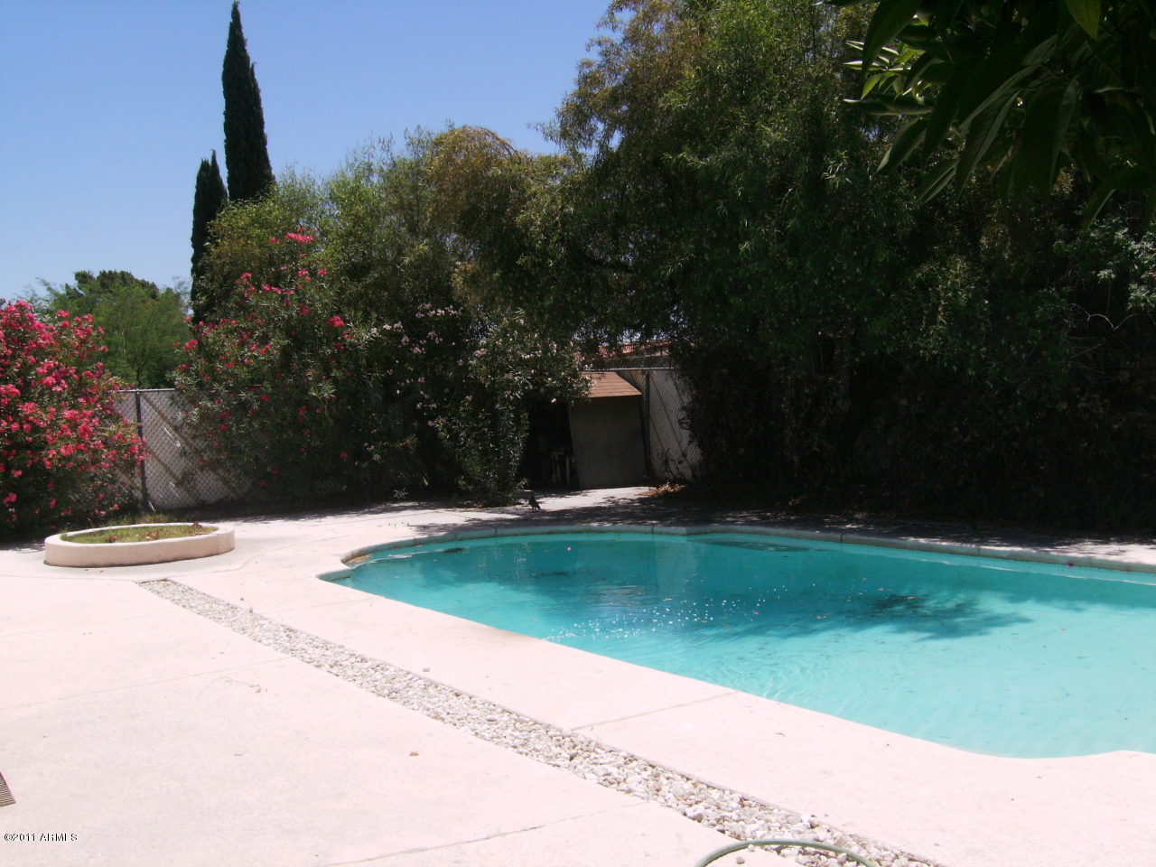 4015 West Redfield Road Phoenix, AZ 85053 - Photo 15 of 15 POOL