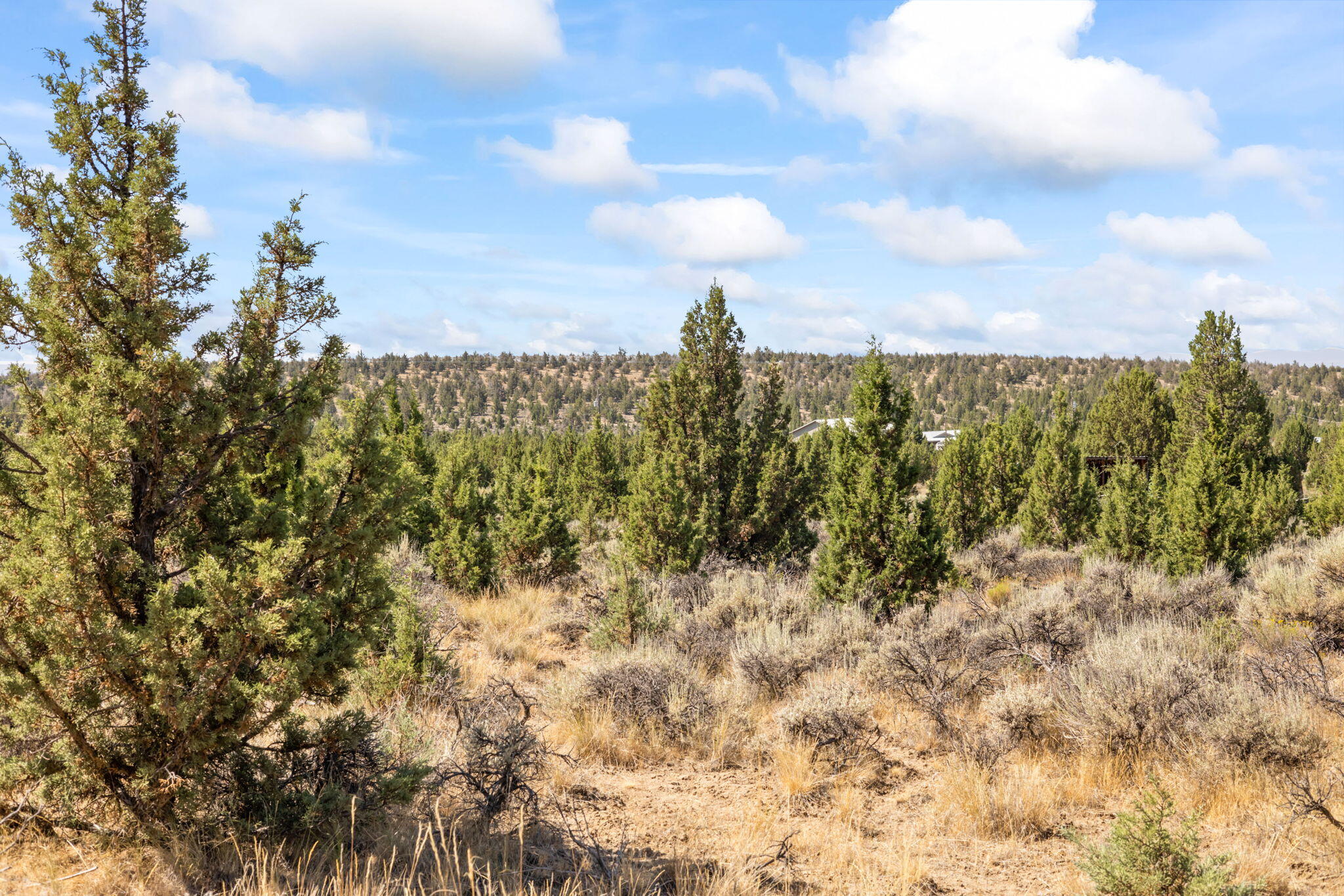 600 Southeast Tacoma Road Prineville, OR 97754 - Photo 15 of 38 15-web-or-mls-14