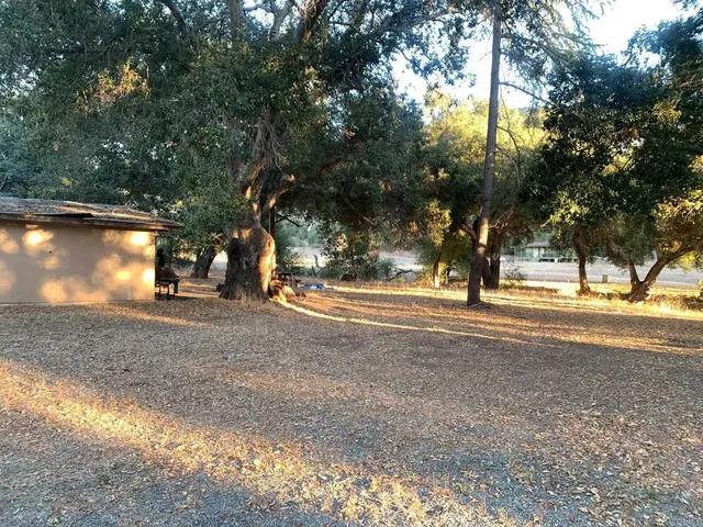 a view of dirt yard with a large tree