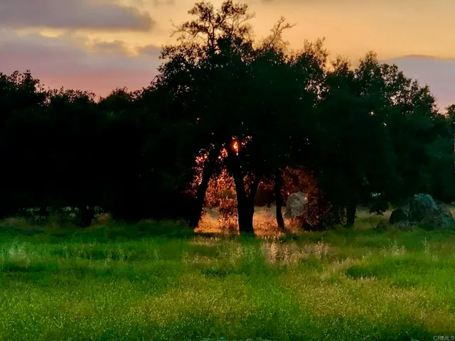 a aerial view of a house next to a yard with large tree