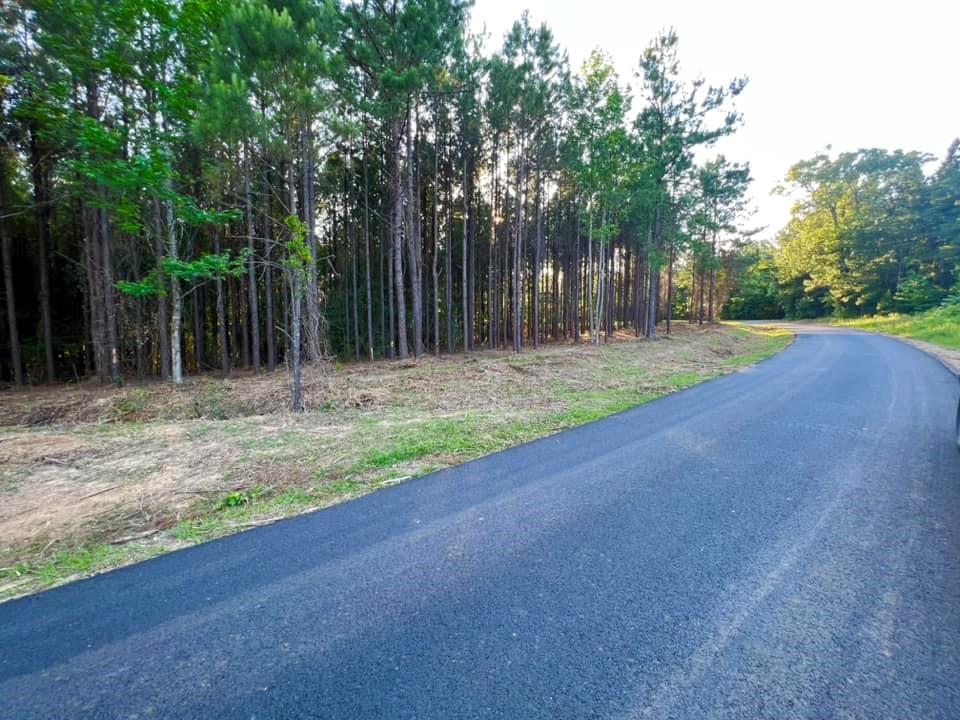 0 Newt Road Jena, LA 71342 - Photo 4 of 7 Gallery Image 4