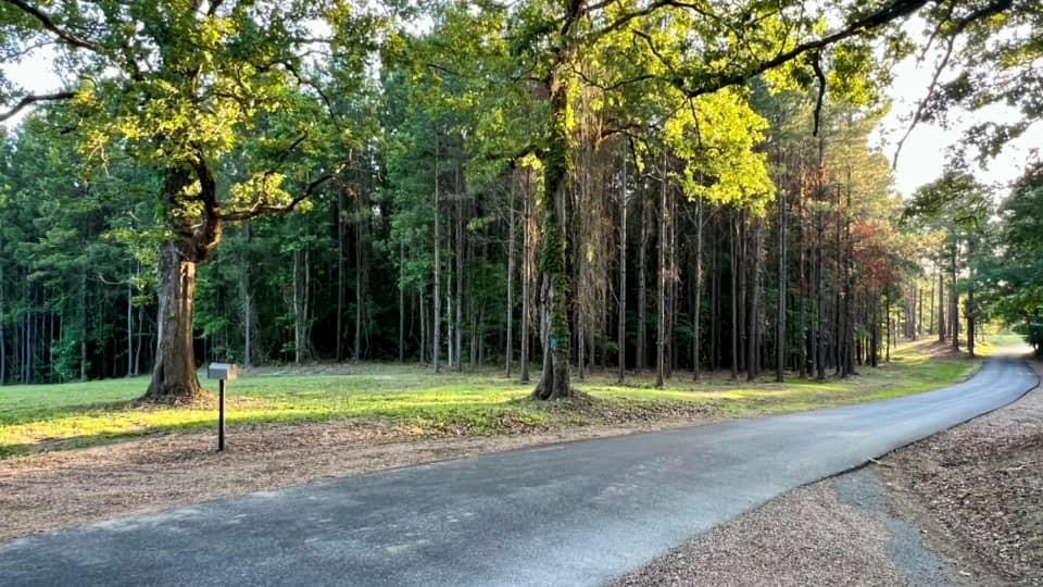 0 Newt Road Jena, LA 71342 - Photo 7 of 7 Gallery Image 7