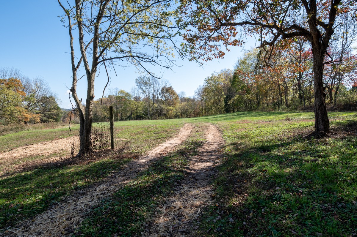300 Garrison Branch Road Cottontown, TN 37048 - Photo 43 of 50 a view of a field with a tree