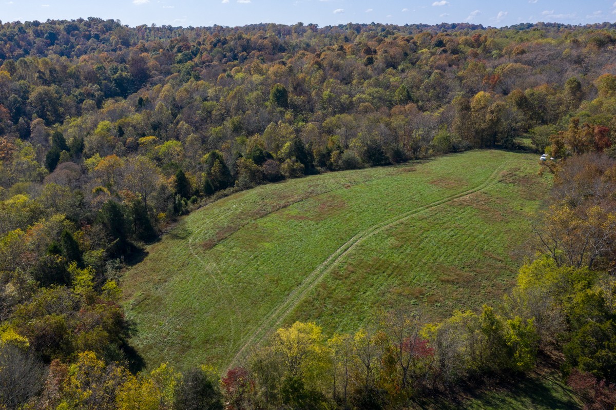 300 Garrison Branch Road Cottontown, TN 37048 - Photo 47 of 50 a view of a big yard with large trees
