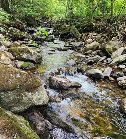 $247,000 | 0 Tarbell Hill Road, Cavendish, VT 05142