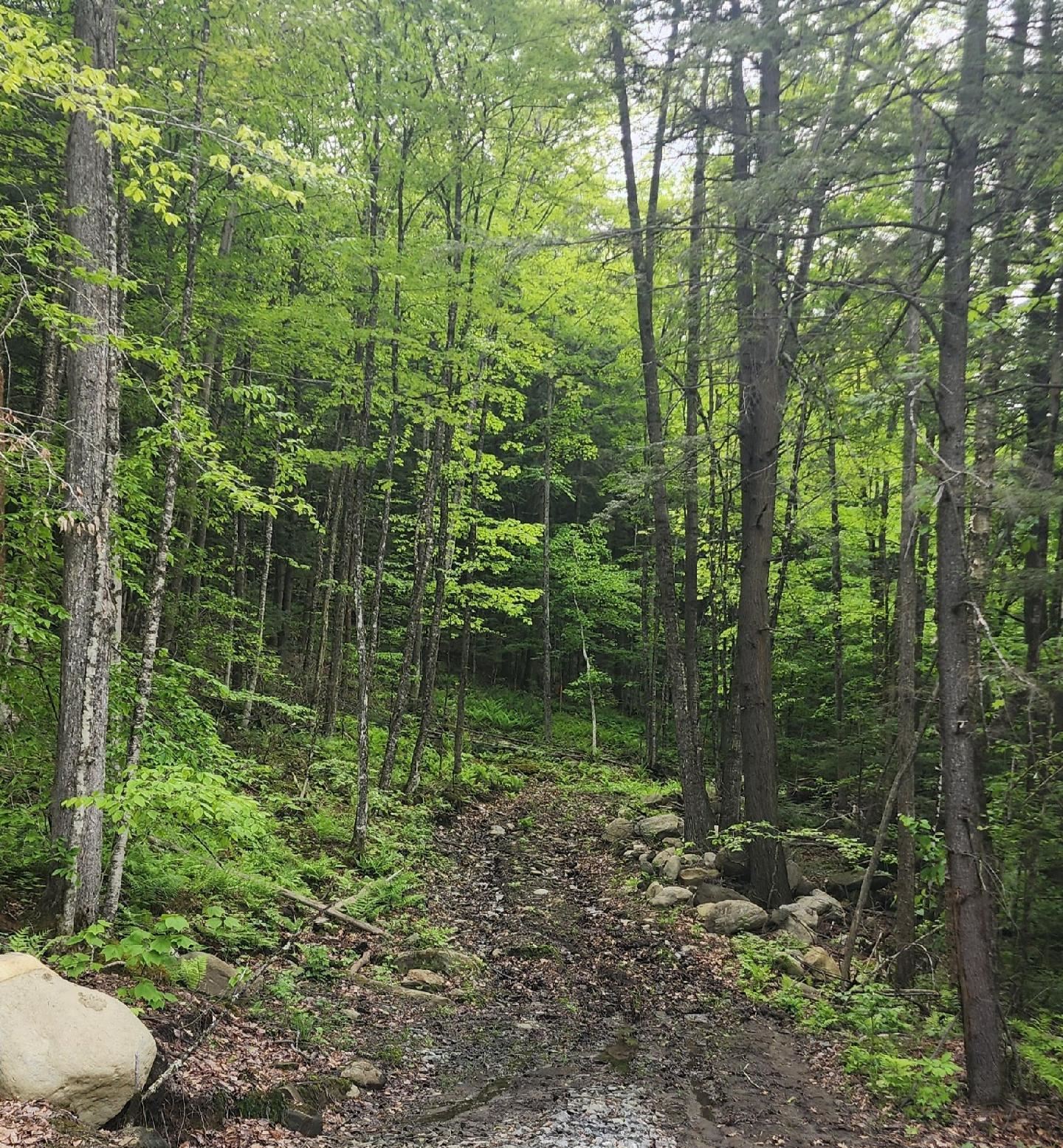 0 Tarbell Hill Road Cavendish, VT 05142 - Photo 3 of 7