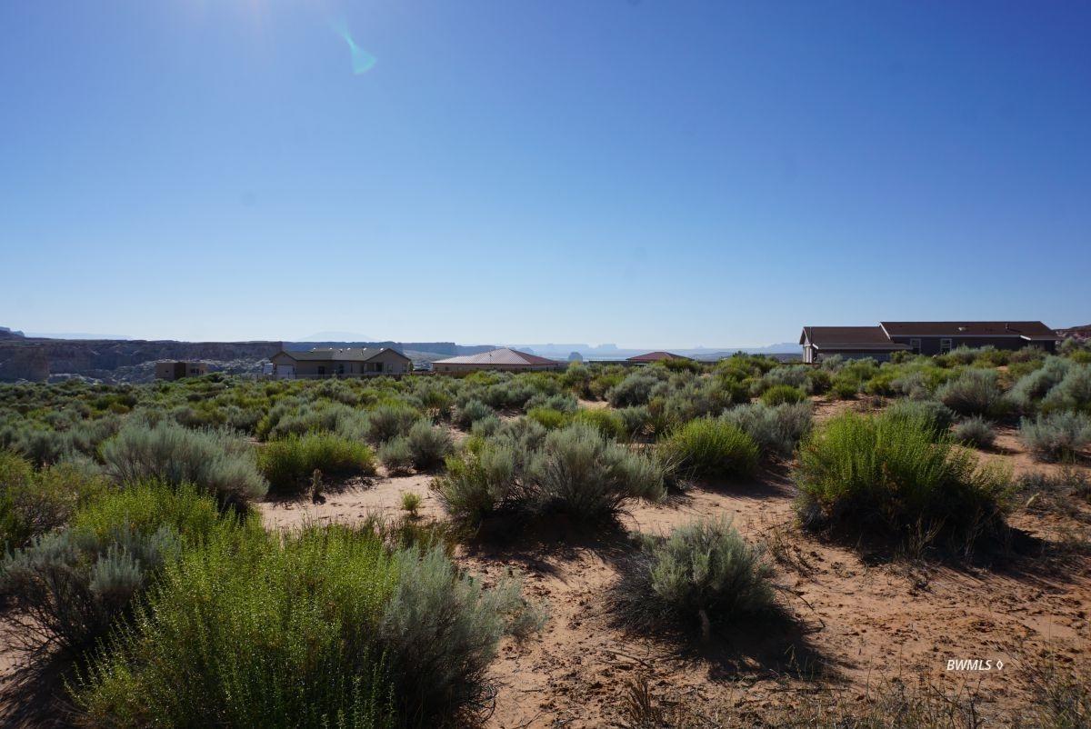 View to SE toward Lake