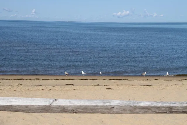 $1,399,000 | 495 Aspinet Road, Eastham, MA 02642