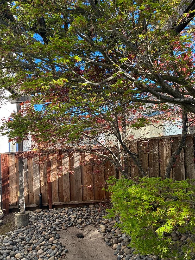 1536 Jackdow Court Gilroy, CA 95020 - Photo 41 of 53