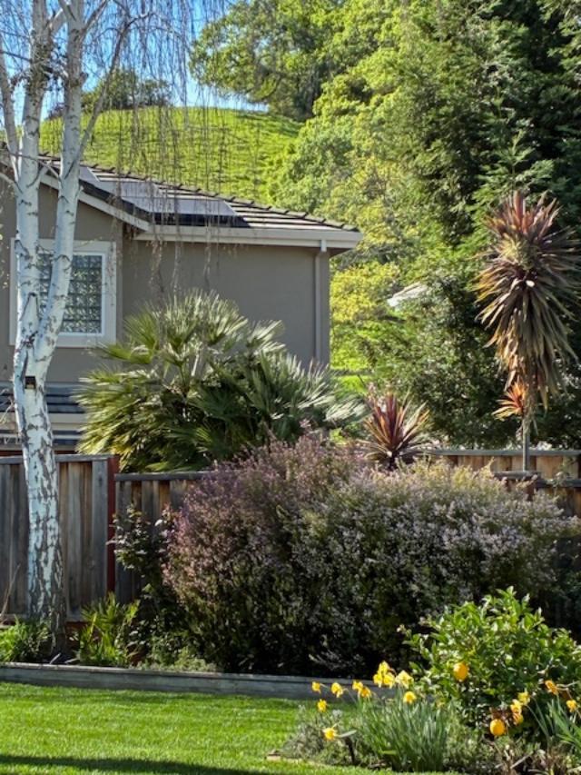 1536 Jackdow Court Gilroy, CA 95020 - Photo 44 of 53