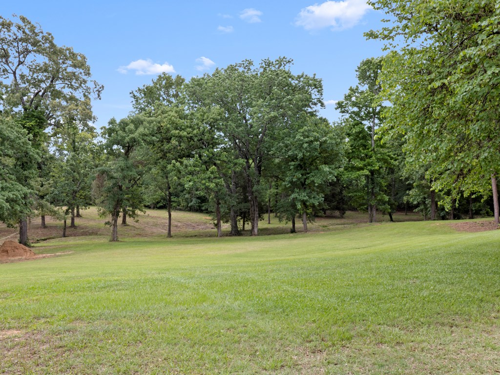 380 An County Road Palestine, TX 75803 - Photo 20 of 62