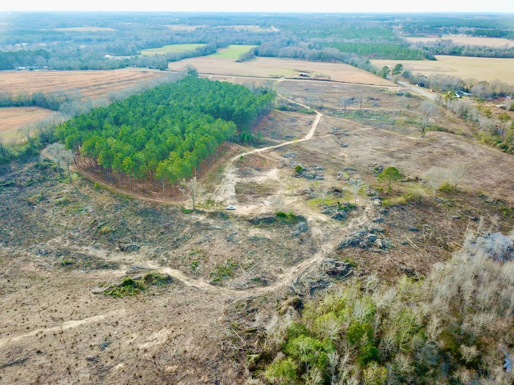 20-acres Hudson Road Columbia, AL 36319 - Photo 14 of 40